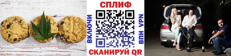 магазин продажи наркотиков  mega как войти  Canna-Cookies марихуана  Павловская 