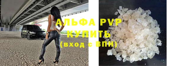 индика Баксан